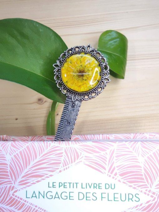 Marque-pages véritable chrysanthème jaune Jo