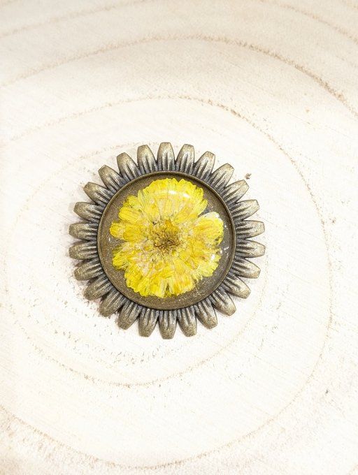 Broche avec un vrai chrysanthème symbole d'optimisme et de joie