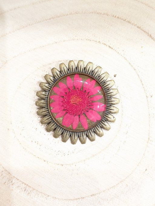 Broche véritable fleur de Marguerite Rosie