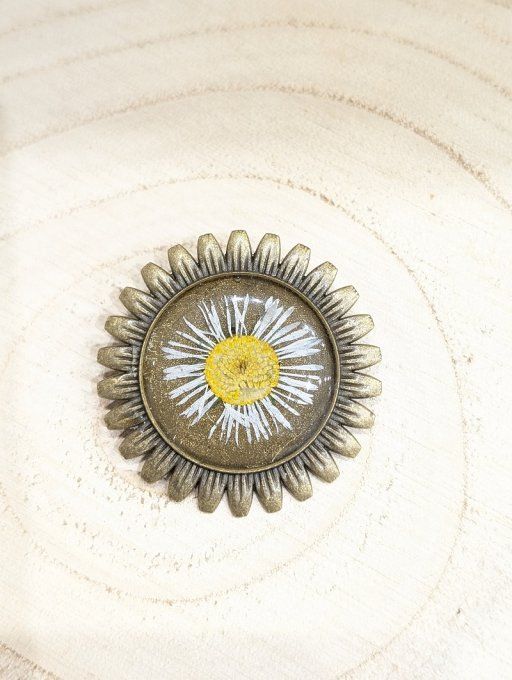 Broche vraie fleur pâquerette Zara