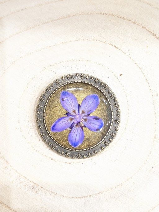 Broche vraie fleur de Parnassie des marais Arlette