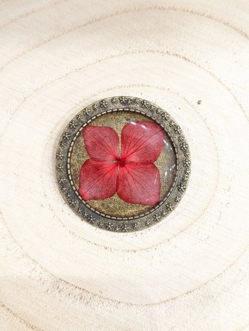 Broche vraie fleur Hortensia rouge Pola