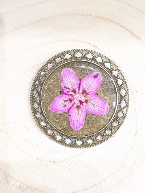Broche avec véritable fleur Parnassie rose Rosalie