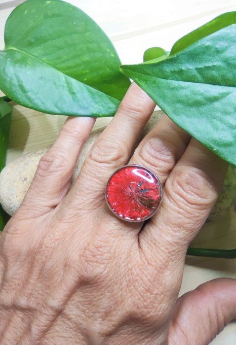 Bague acier inoxydable spirale Nigelle Coralie