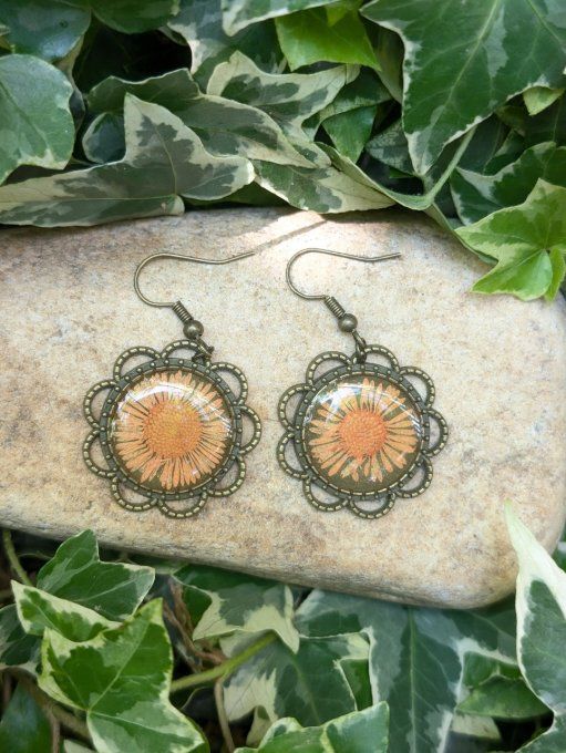 Boucles d'oreilles vintage forme fleur vraie fleur érigéron Gina
