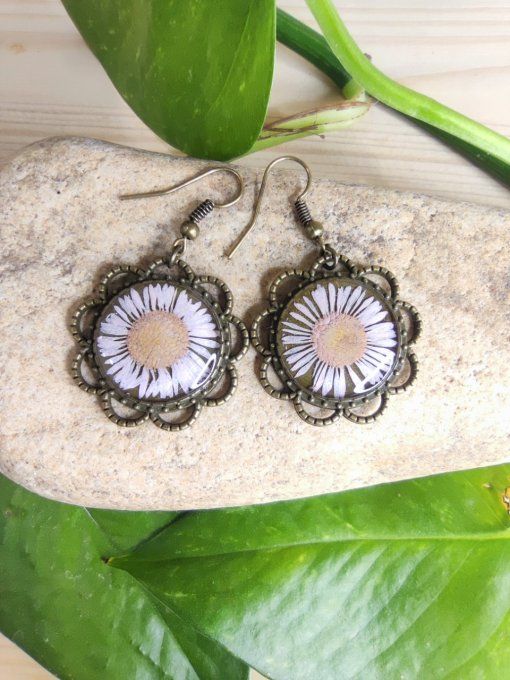 Boucles d'oreilles forme fleur avec un véritable érigéron rose pâle Hanaé