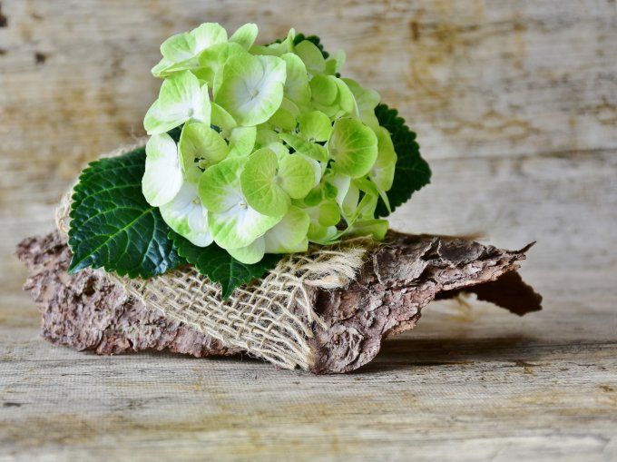 Broche Arty torsade fleur d'Hortensia Tilio