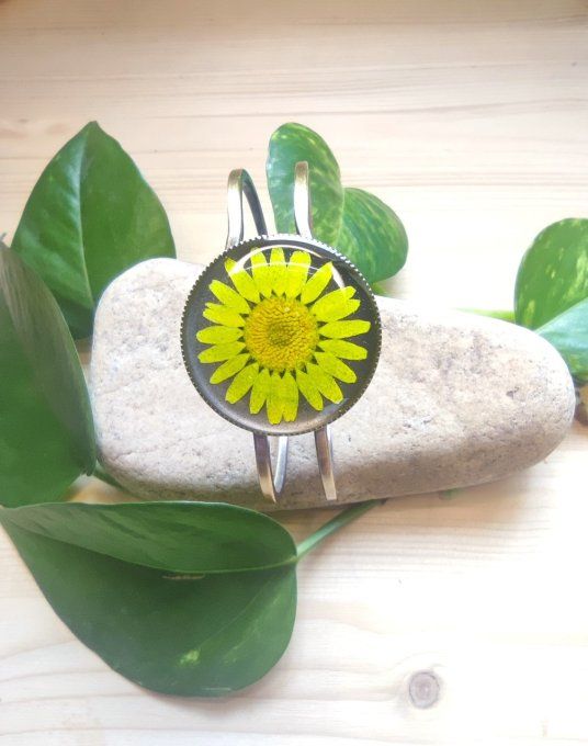 Jonc articulé véritable fleur marguerite jaune soleil