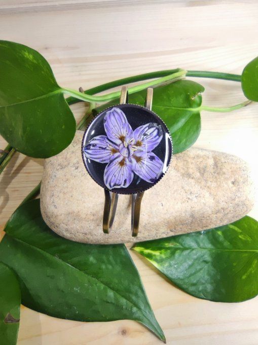 Jonc articulé Fleur Parnassie des Marais Arlette
