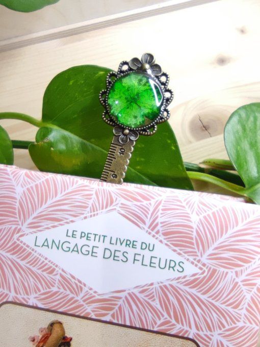 Marque-page GMBR flores Hortensia Tilio
