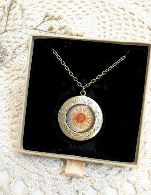 Pendentif médaillon BR porte-photo Erigéron Gina