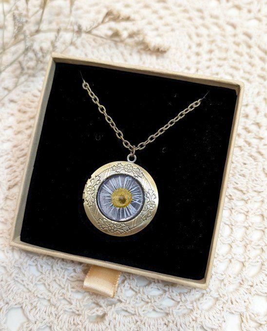 Pendentif médaillon BR porte-photo Pâquerette Zara