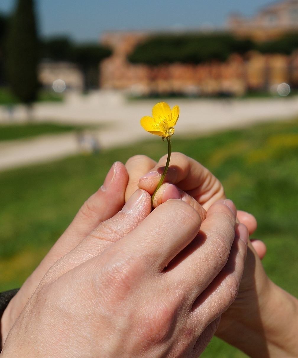Offrir des Fleurs éternelles pour créer du lien et du souvenir avec vos proches